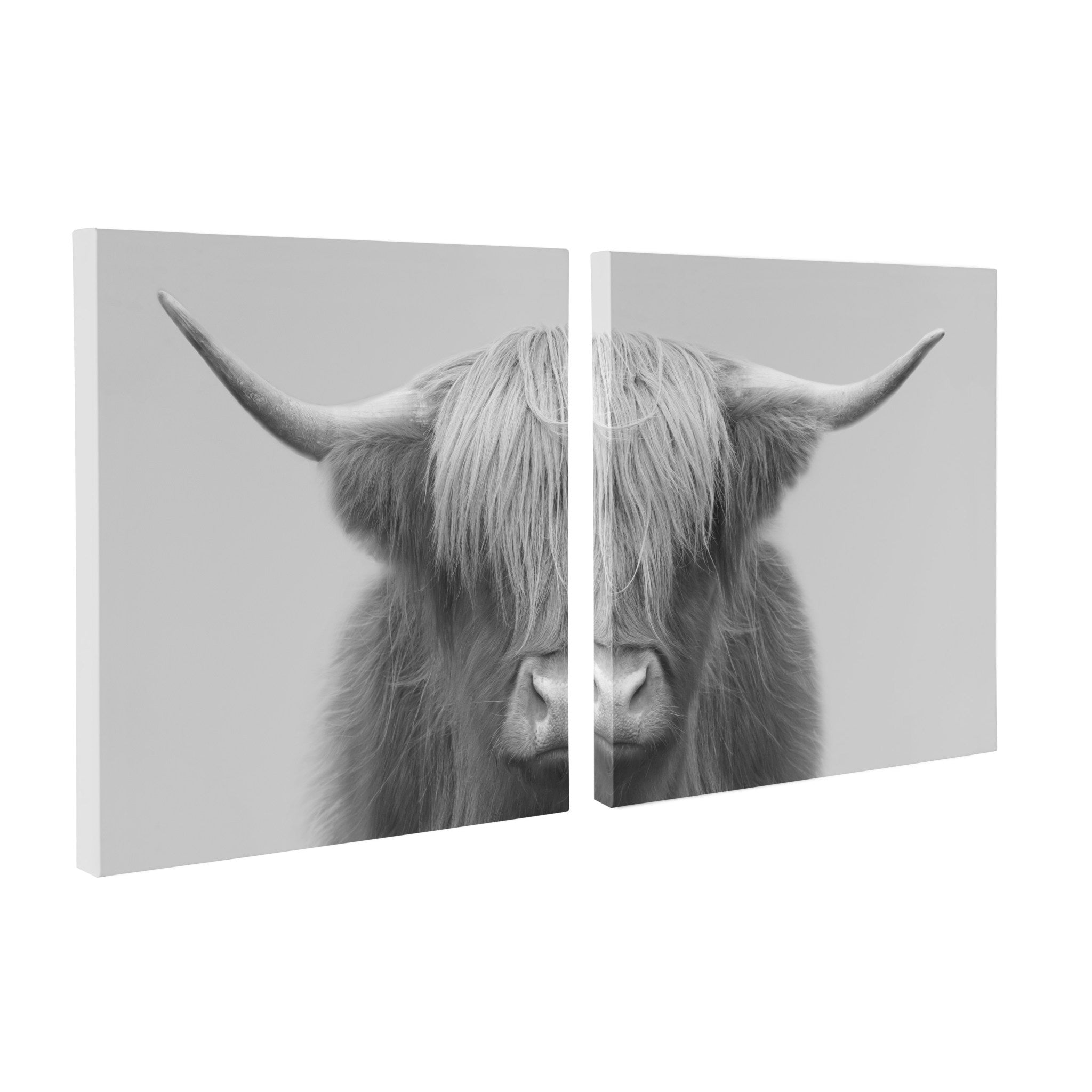 Hey Dude Highland Cow Gray Canvas by The Creative Bunch Studio