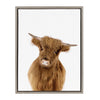 Sylvie Young Highland Framed Canvas by Amy Peterson