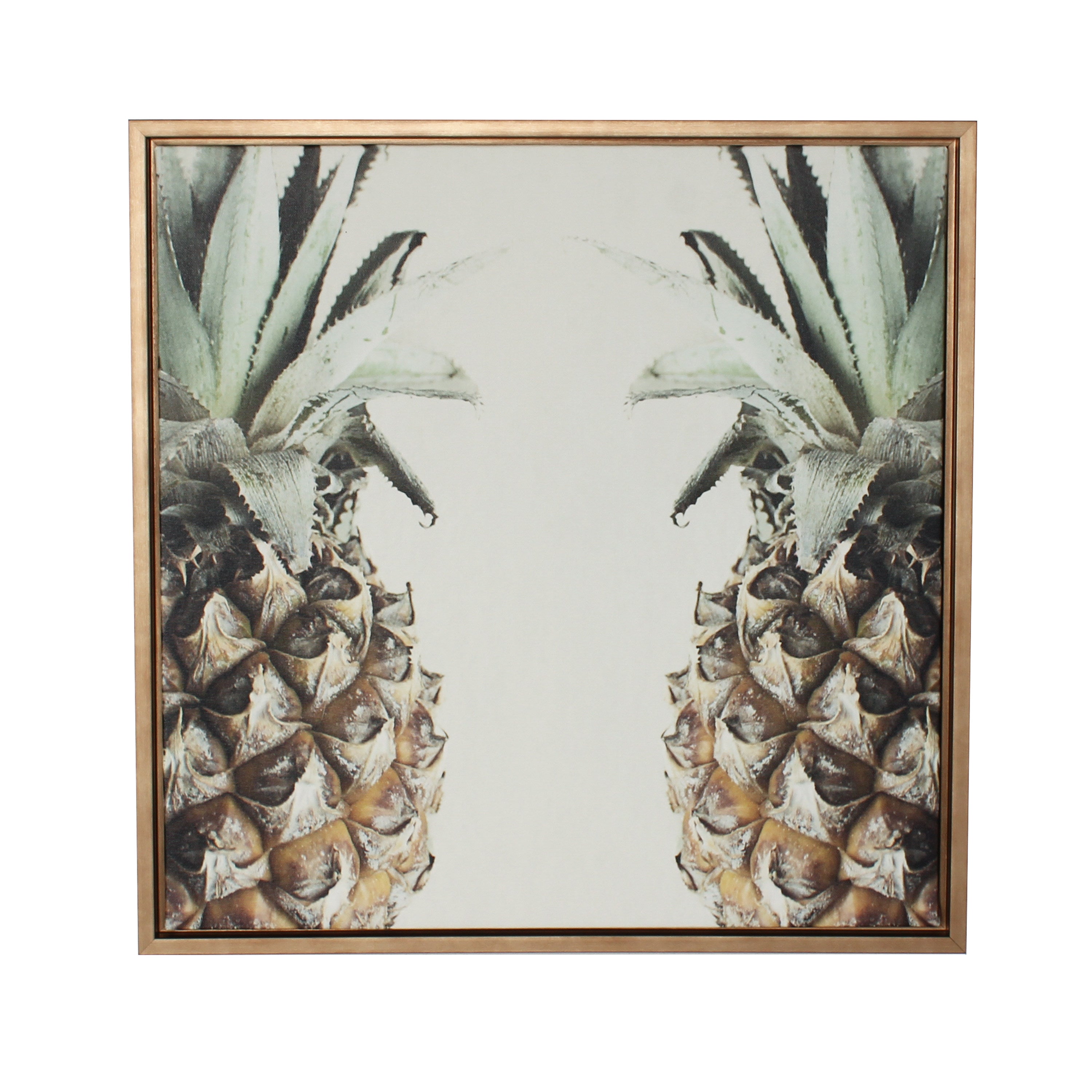 Sylvie Symmetrical Pineapple Framed Canvas by F2 Images