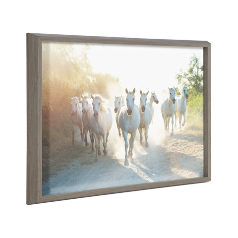 Blake Camargue Horse XIII Framed Printed Glass by Laura Evans