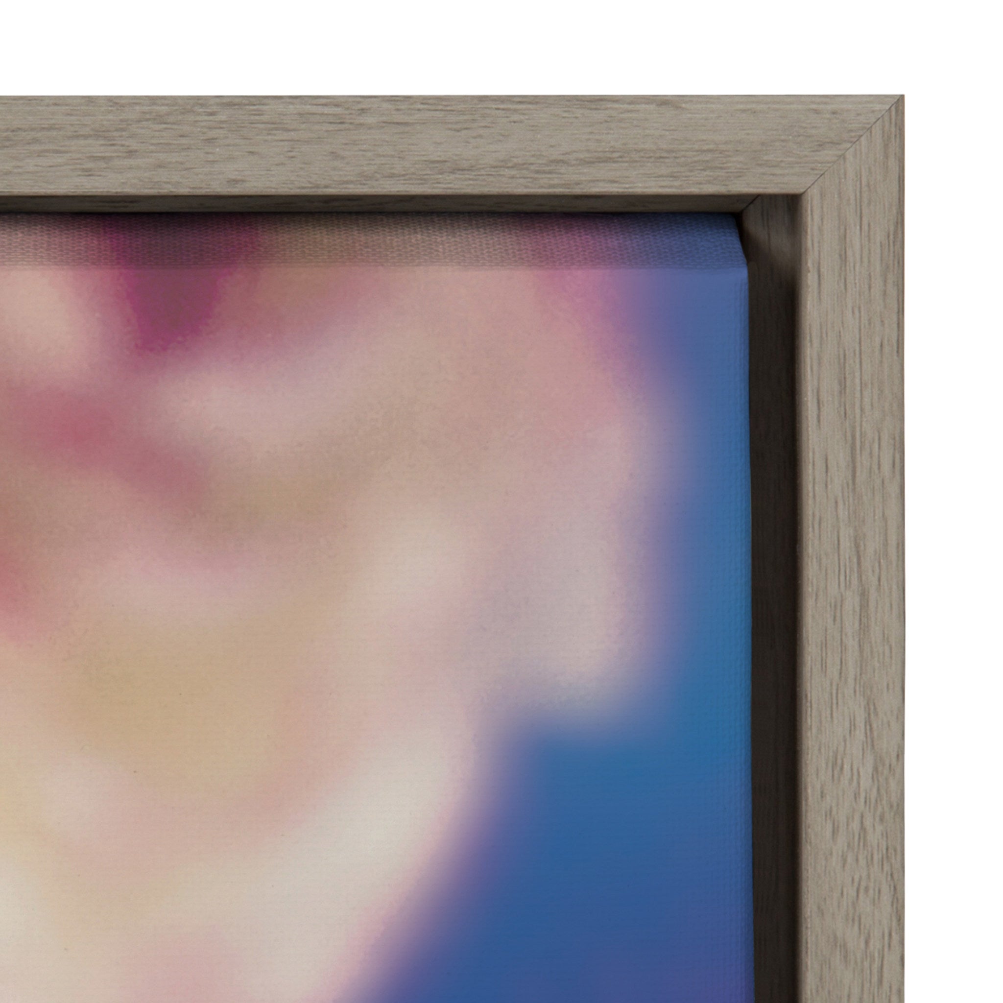 Sylvie Ranunculus in Blue Framed Canvas by Kristybee
