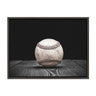 Sylvie Baseball Framed Canvas by Shawn St. Peter