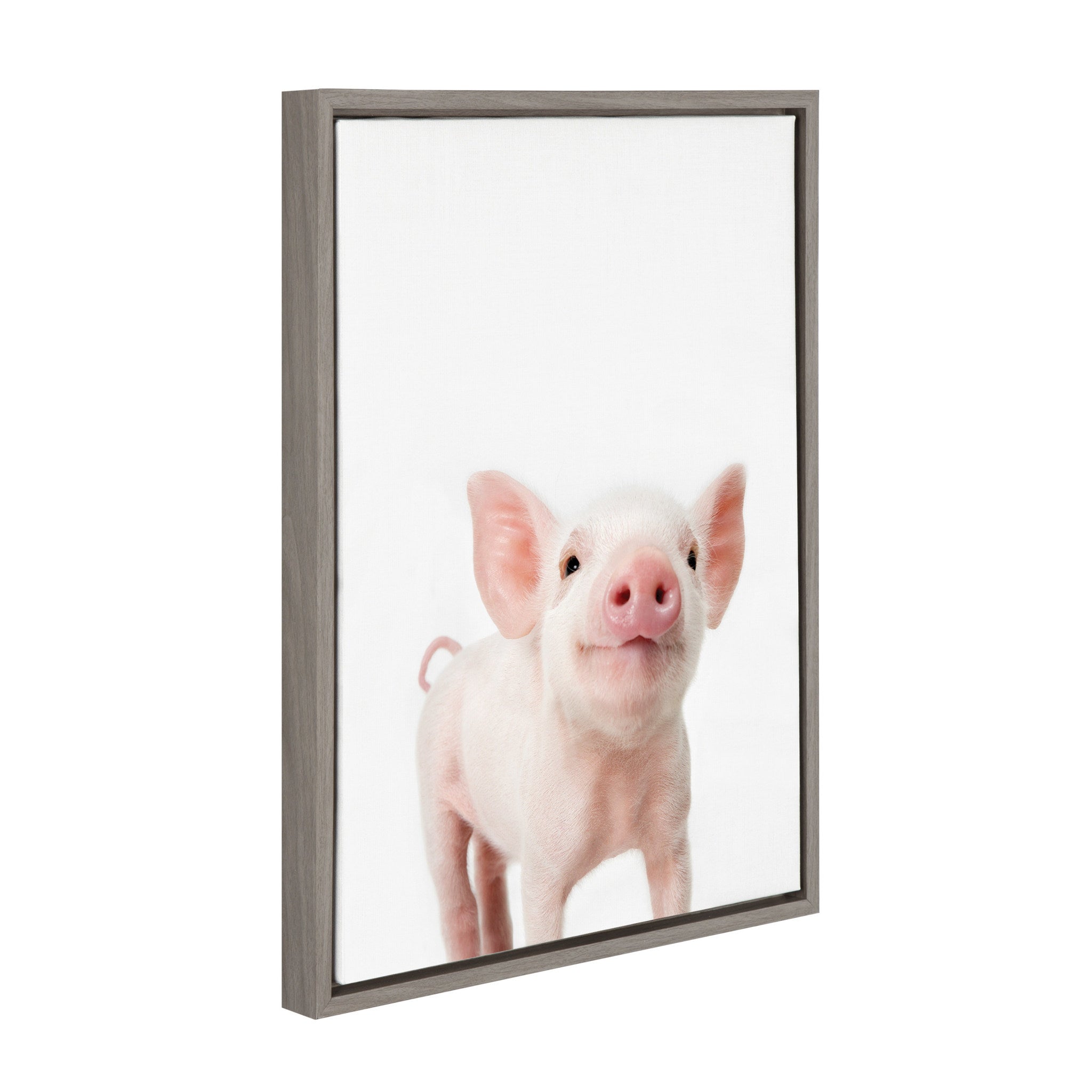 Sylvie Young Pig Framed Canvas Wall Art by Amy Peterson