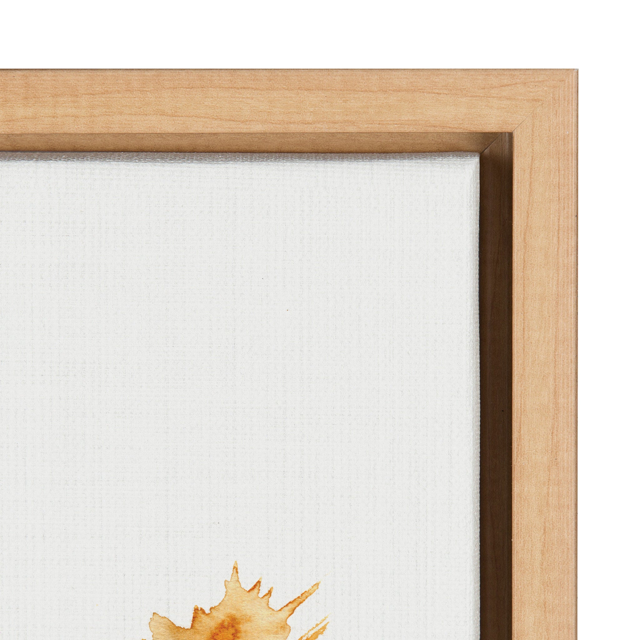 Sylvie Wild Salvia Framed Canvas by Sara Berrenson
