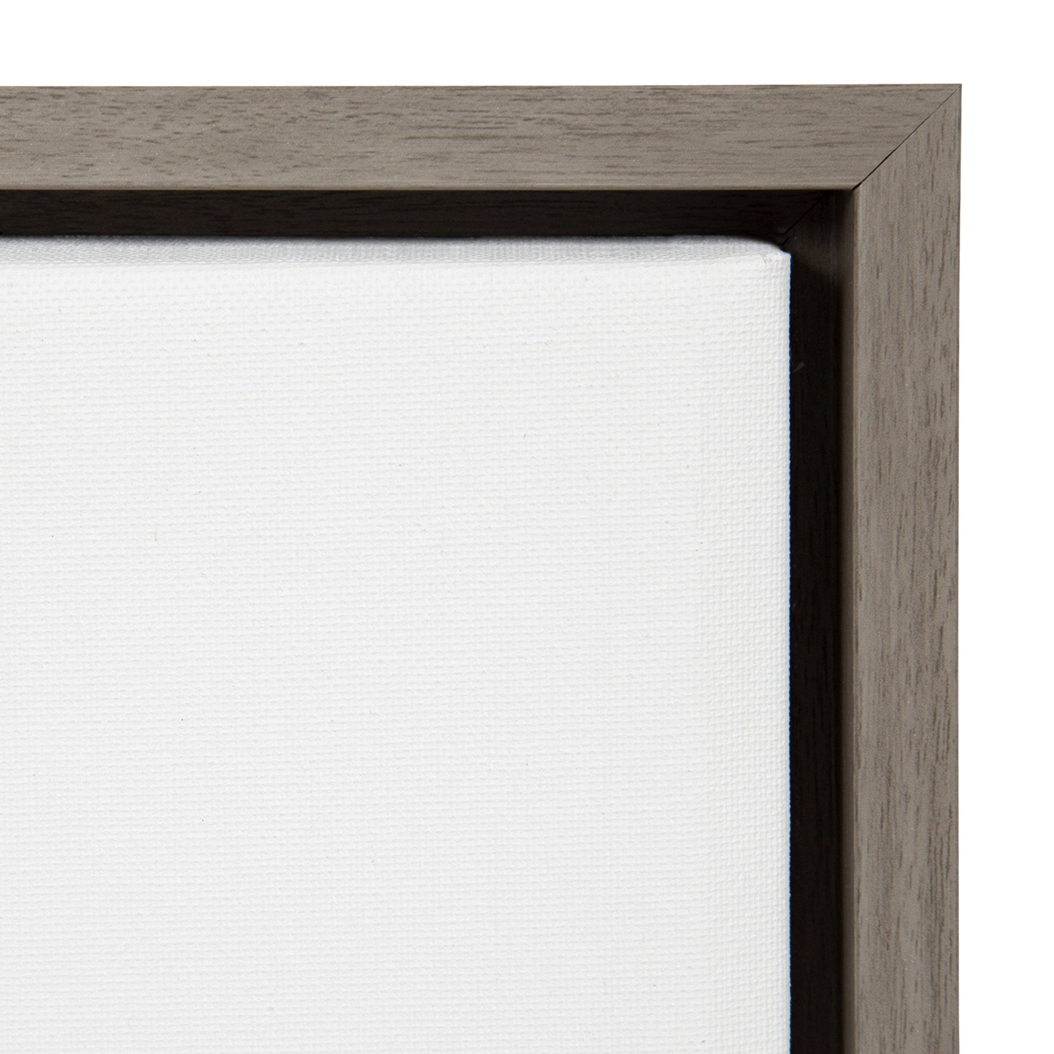 Sylvie Houseplants Framed Canvas by Sara Berrenson