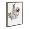 Sylvie Baby Sloth Hanging Around Framed Canvas by Amy Peterson Art Studio