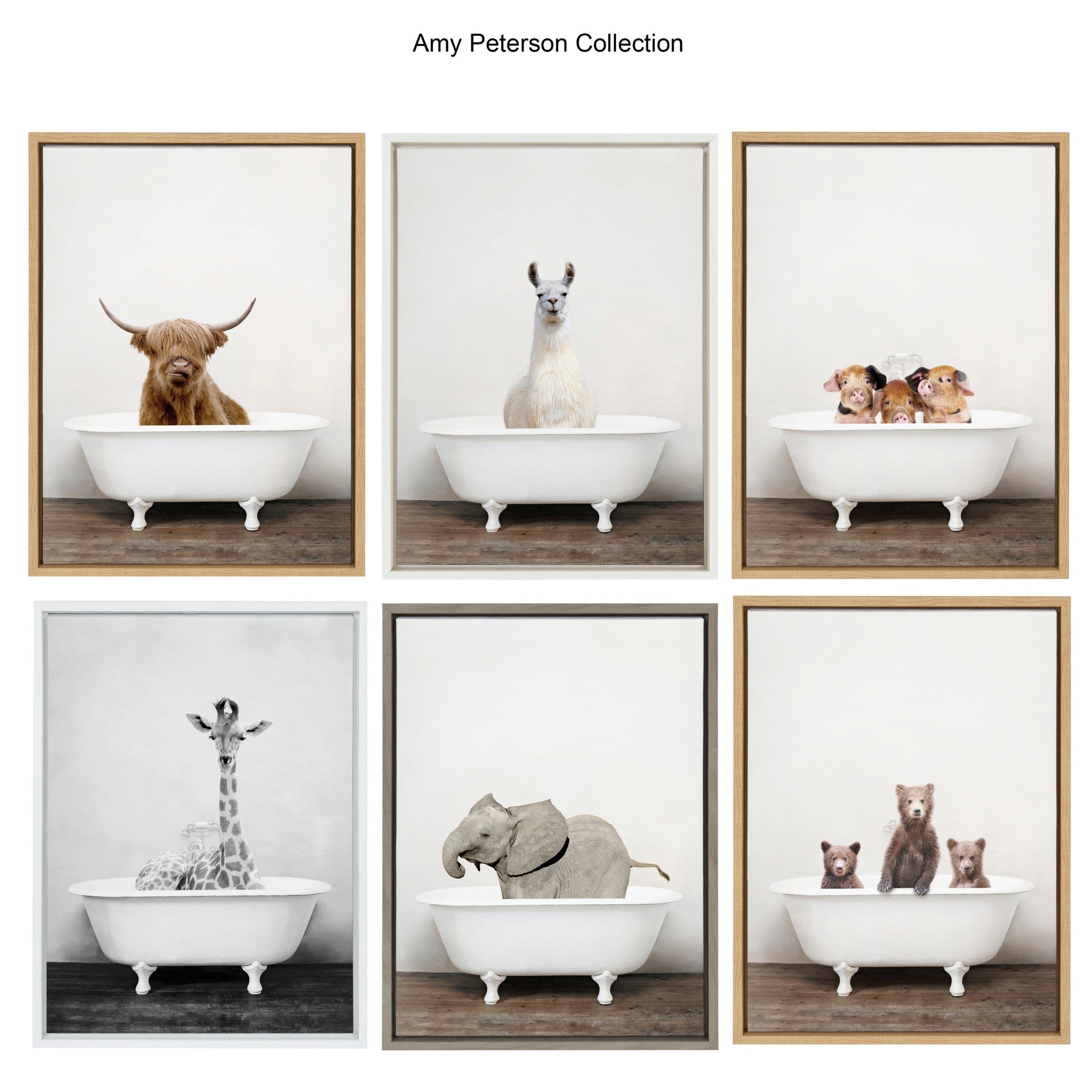 Sylvie Three Little Pigs In Vintage Bathtub Framed Canvas by Amy Peterson Art Studio
