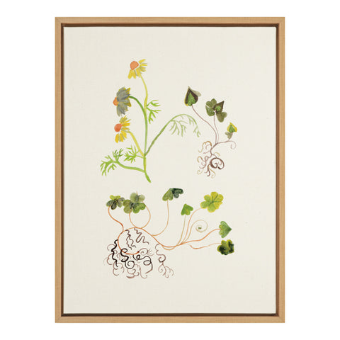 Sylvie Clover Framed Canvas by Viola Kreczmer