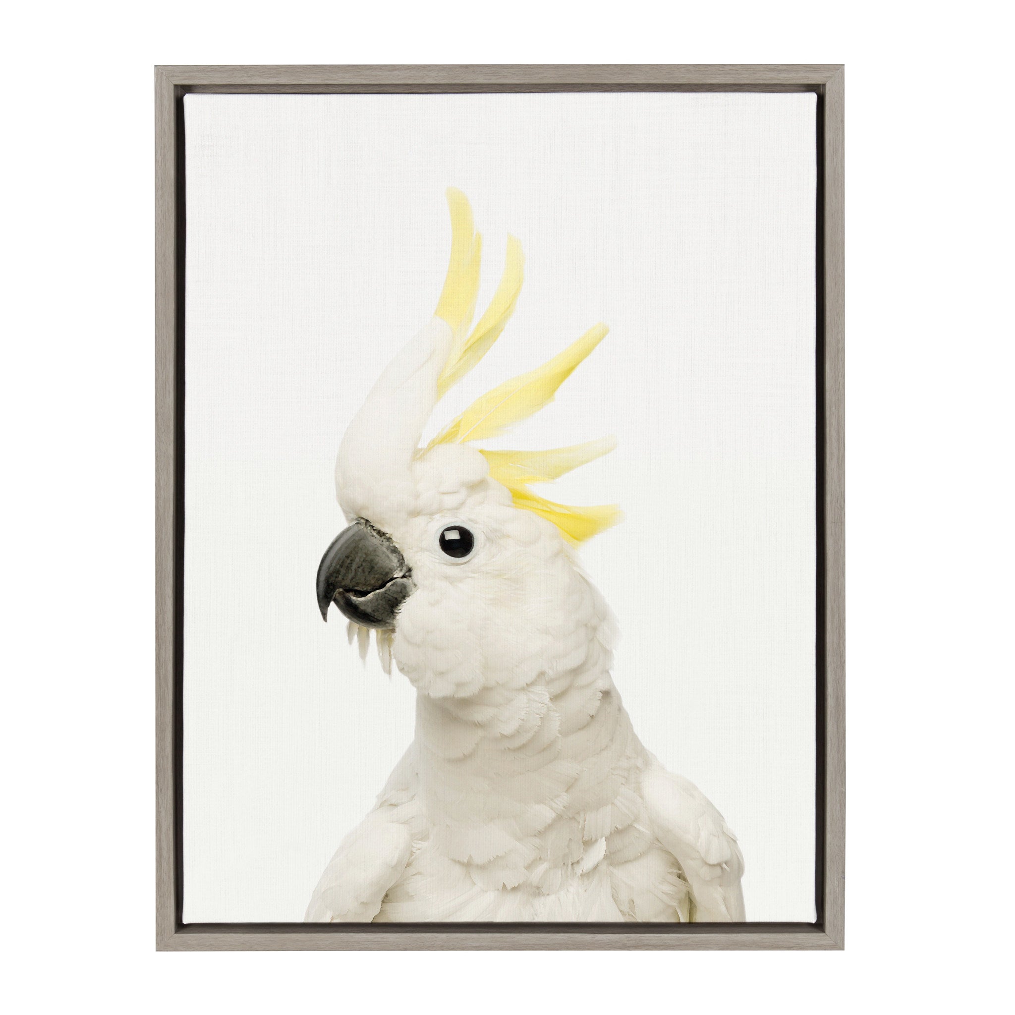Sylvie Animal Studio Bird Framed Canvas by Amy Peterson Art Studio
