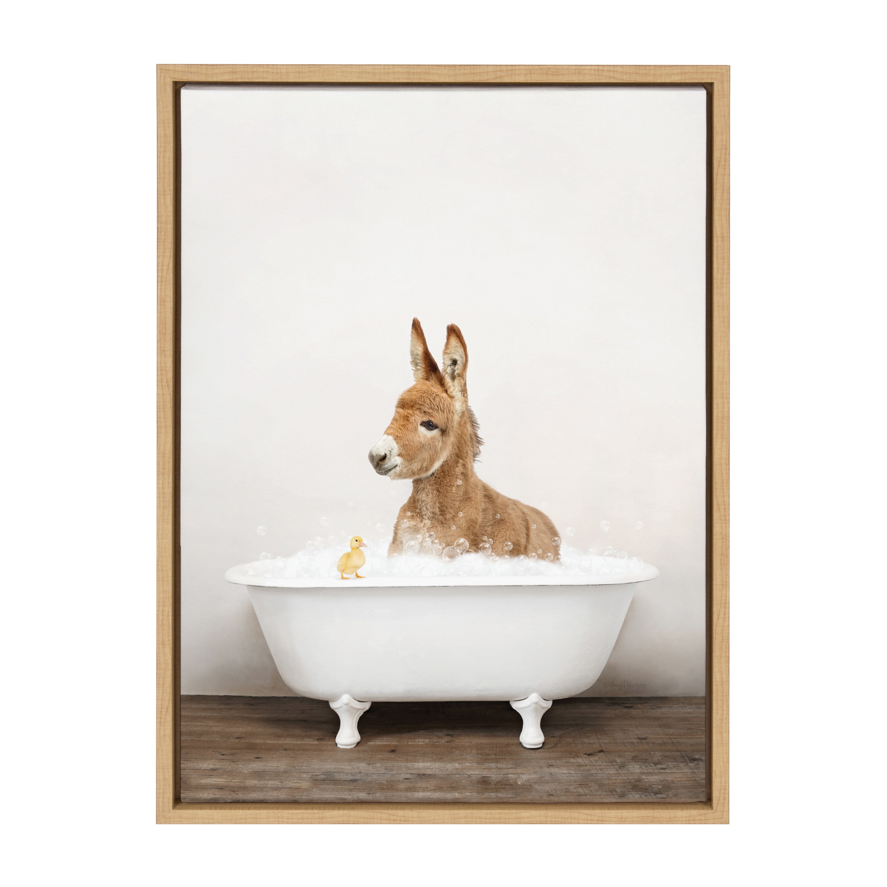 Sylvie Baby Donkey in Rustic Bath Framed Canvas by Amy Peterson Art Studio