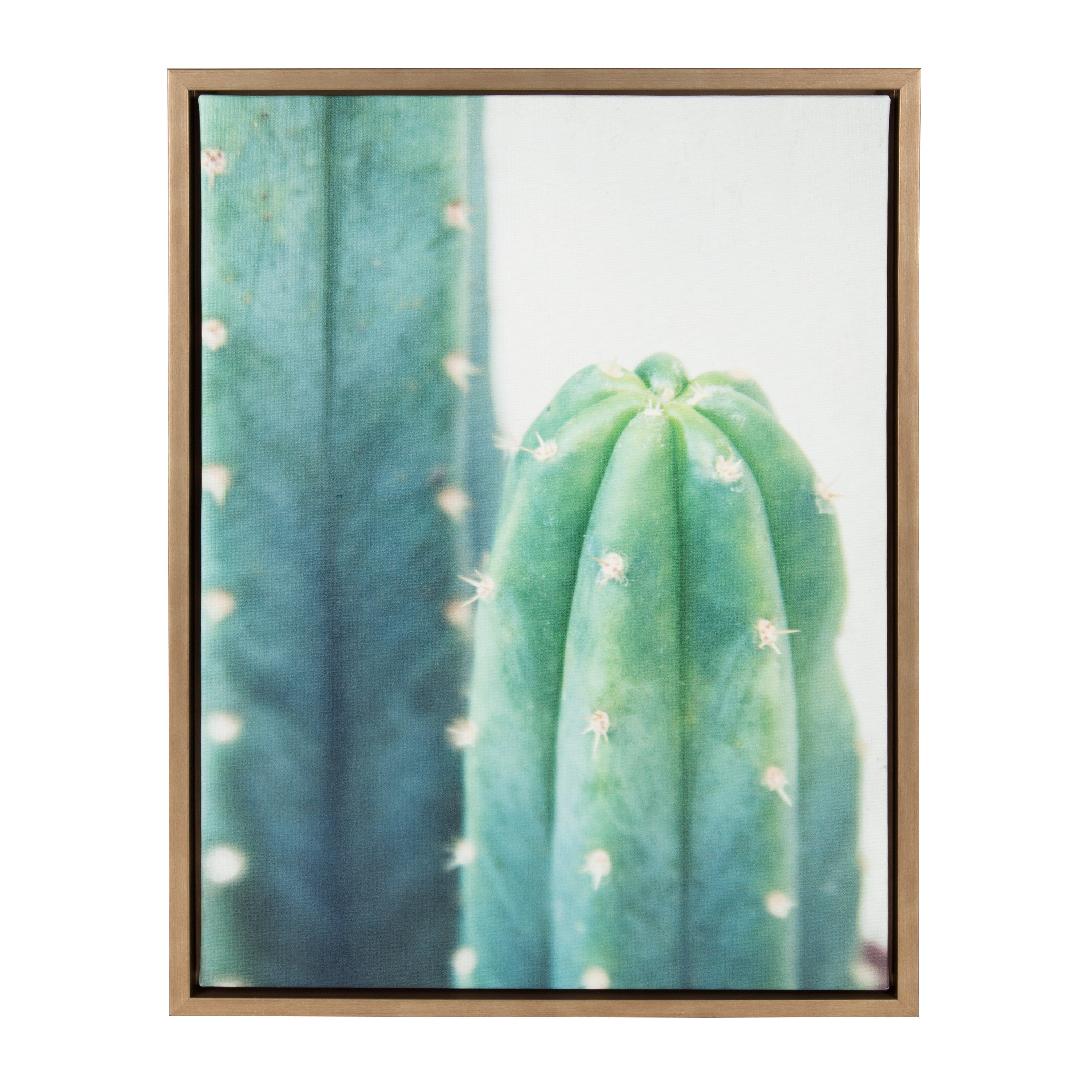 Sylvie Cactus Framed Canvas by F2 Images