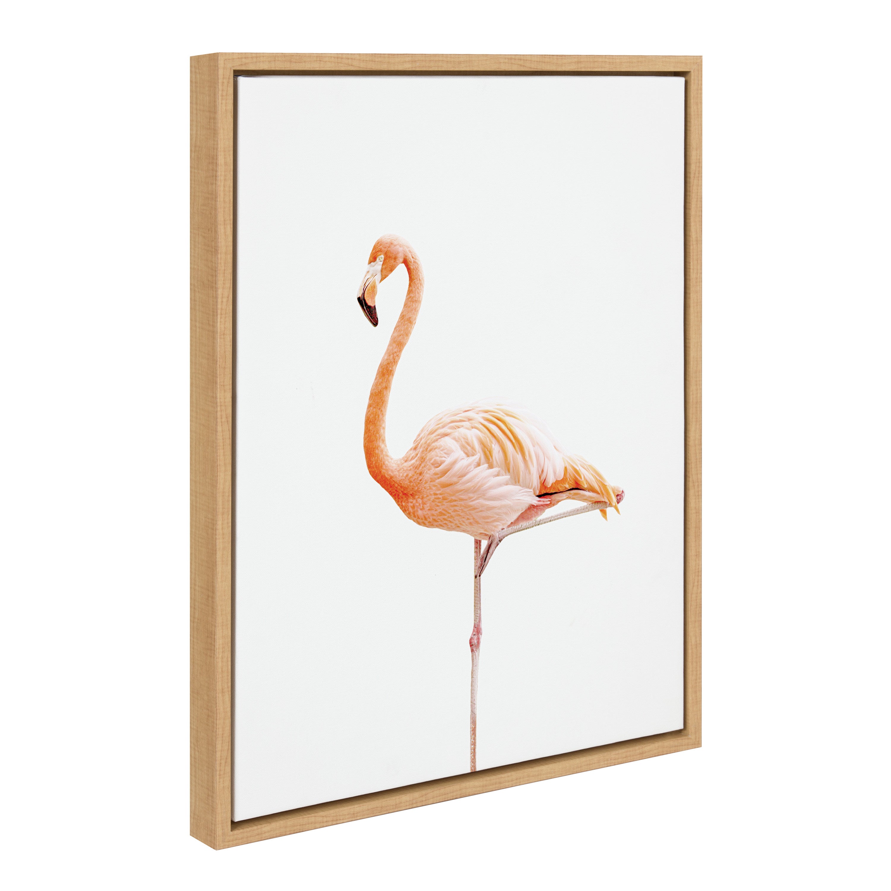 Sylvie Flamingo Standing Framed Canvas by Amy Peterson Art Studio