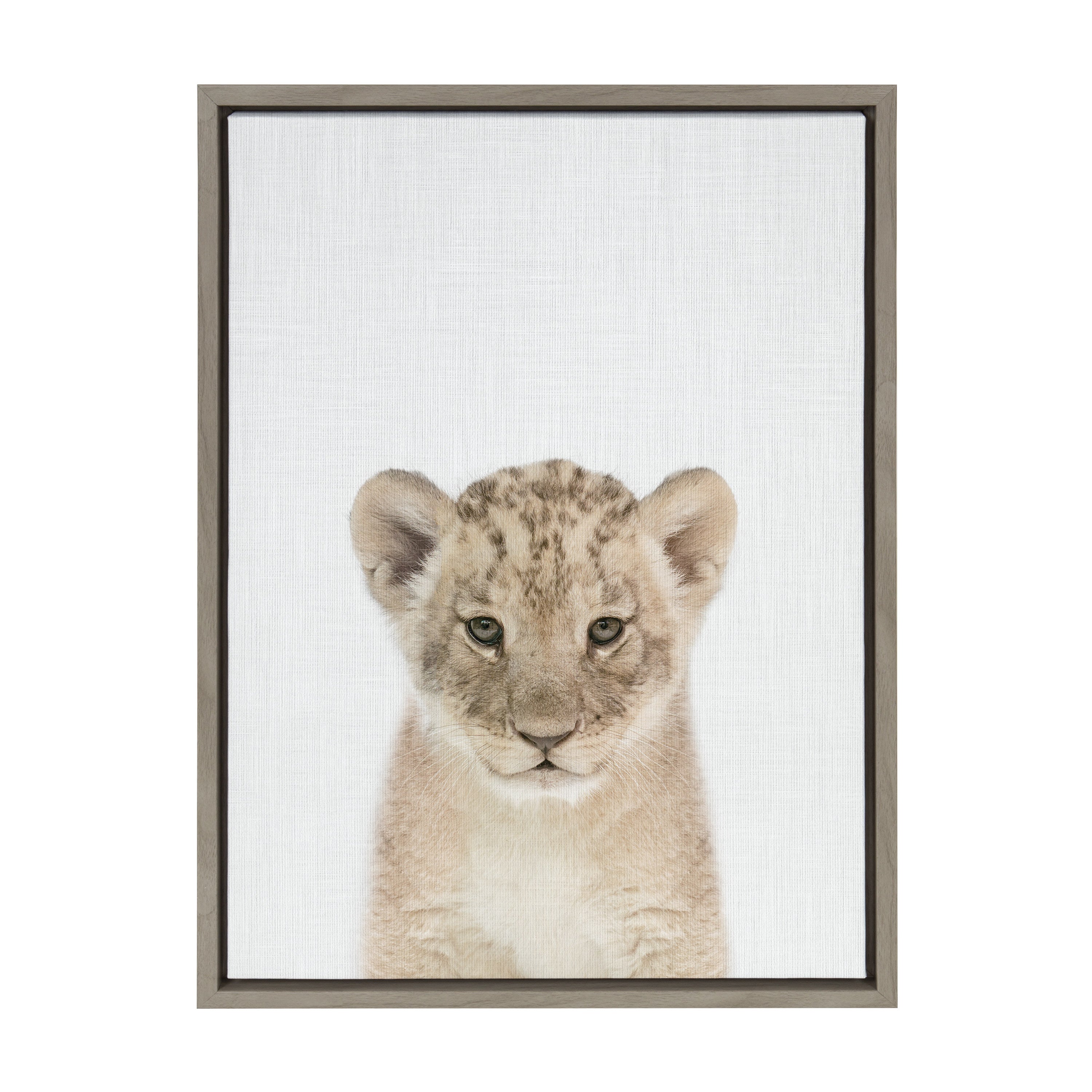 Sylvie Baby Lion Color Framed Canvas by Simon Te of Tai Prints