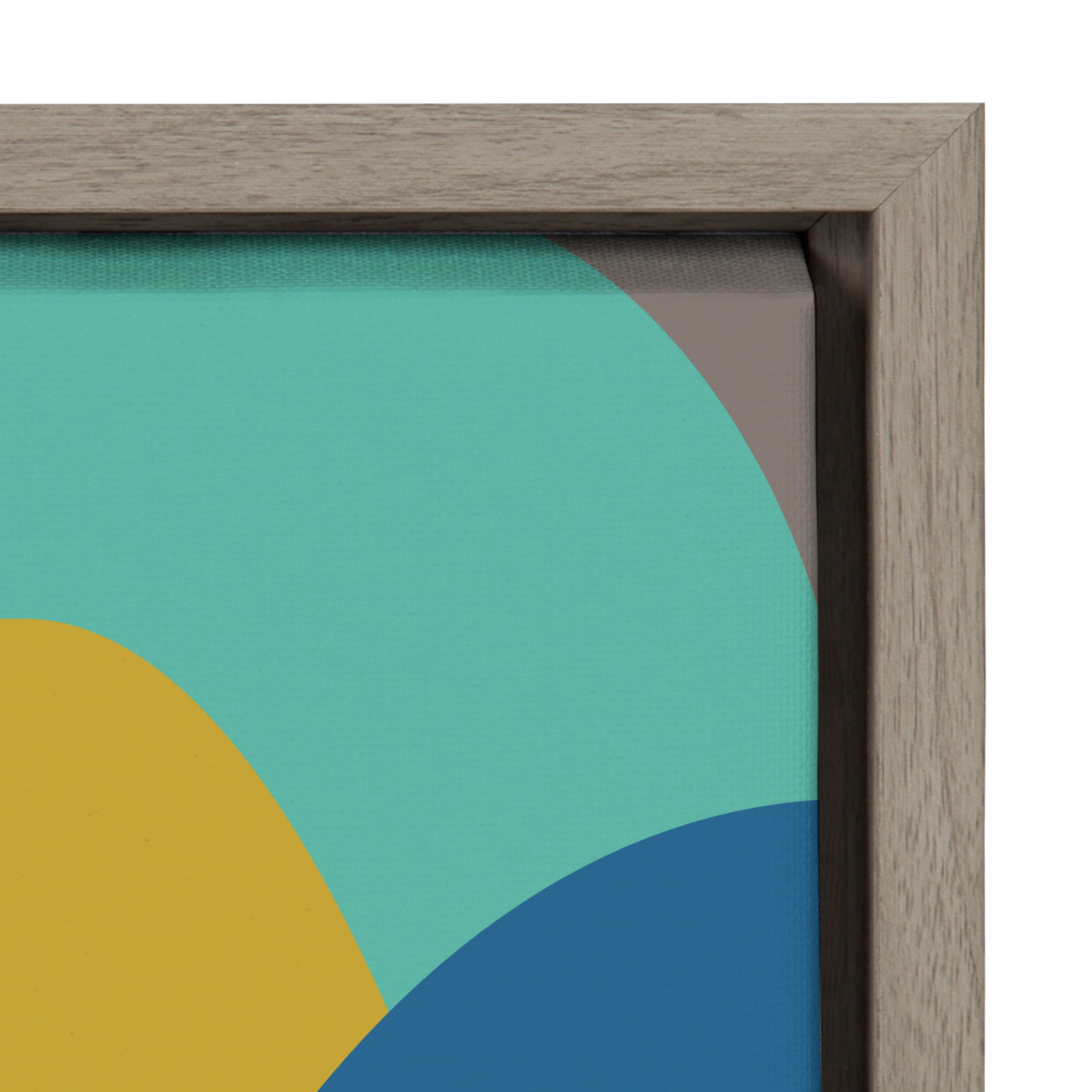 Sylvie Retro Organic Framed Canvas by Apricot and Birch