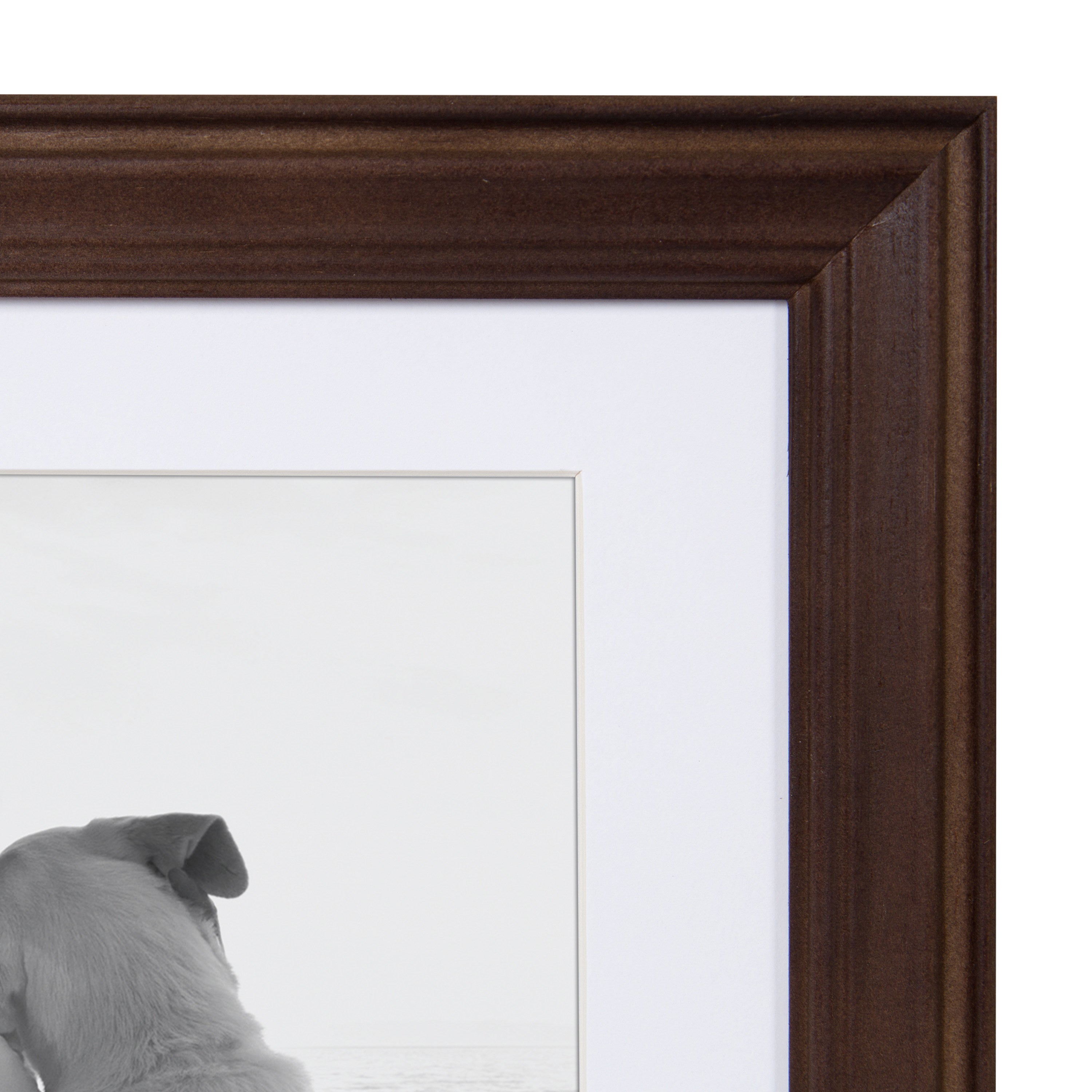 Kate and Laurel Bordeaux White Picture Frame (Set of 10) 213728