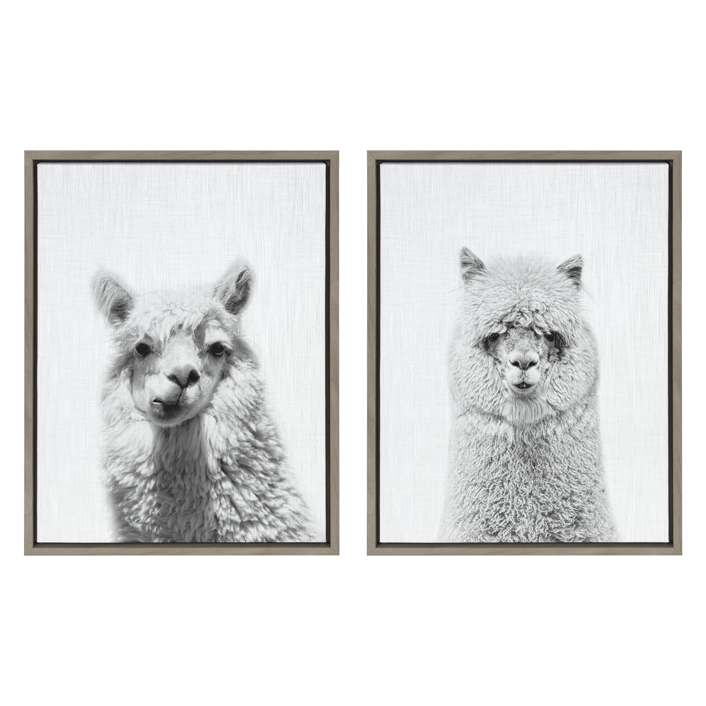 Sylvie Alpaca Portrait Set Framed Canvas By Simon Te