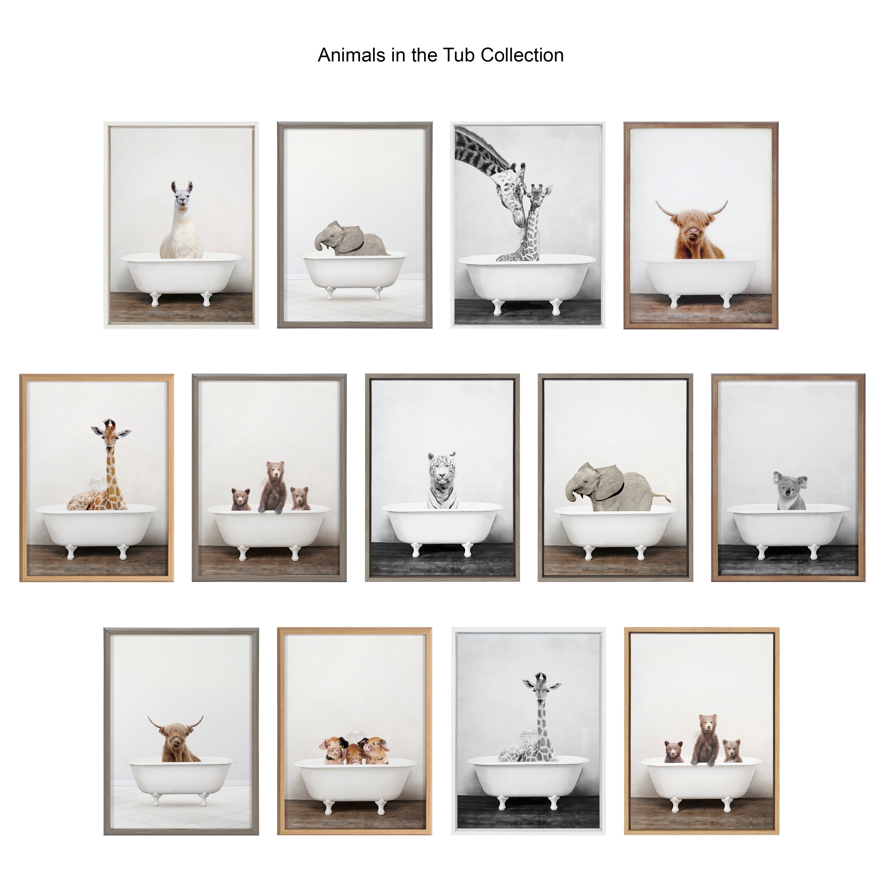 Blake Giraffe 2 in Tub Color Framed Printed Glass by Amy Peterson Art Studio