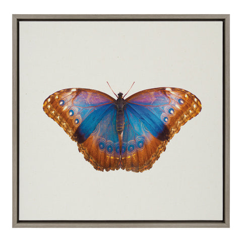 Sylvie Coppertop Butterfly Framed Canvas by Robert Cadloff of Bomobob