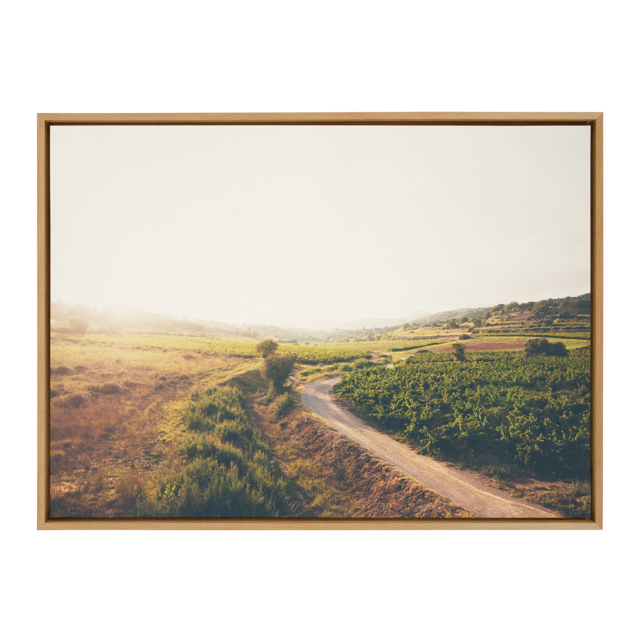 Sylvie Leading Towards the Unknown Framed Canvas by Laura Evans