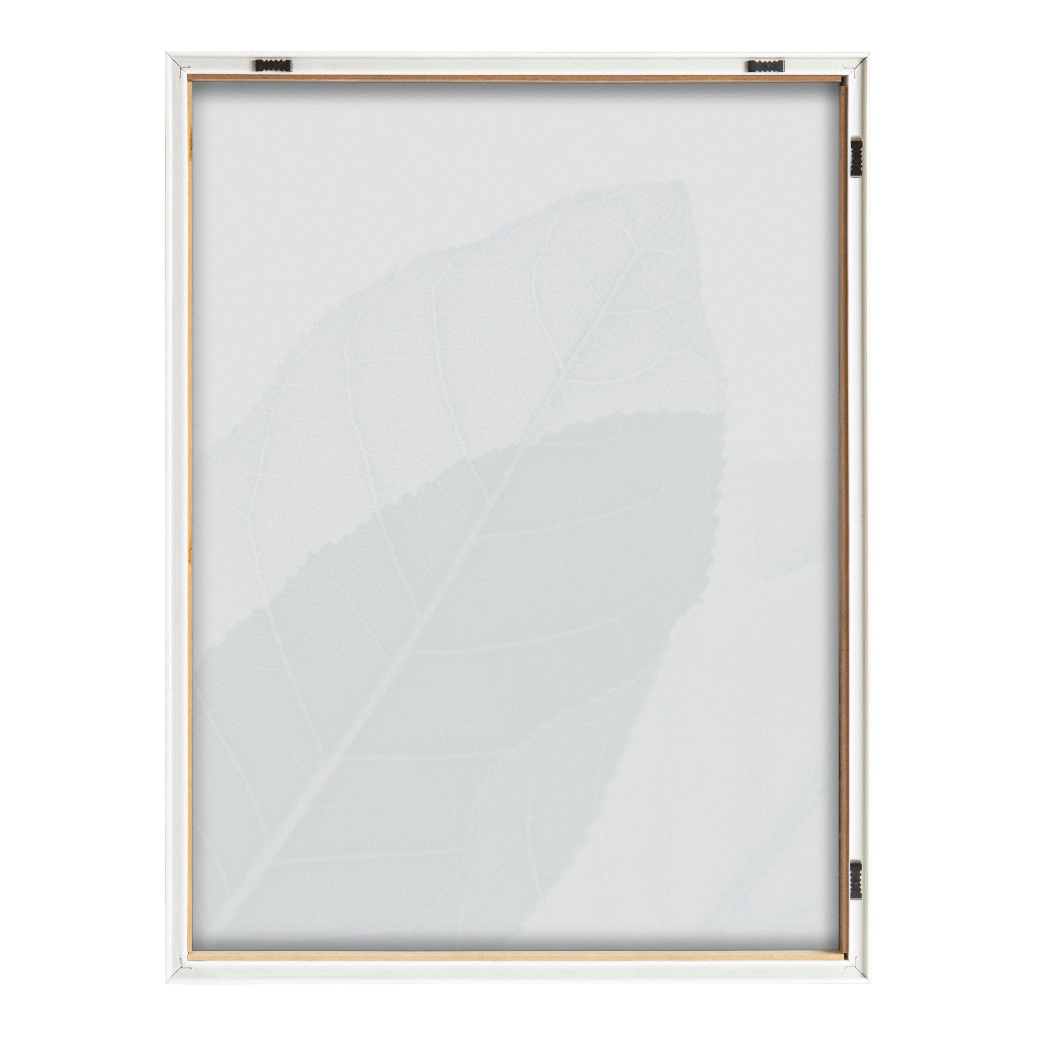 Blake Modern Green Leaf Botanical II Framed Printed Glass by The Creative Bunch Studio