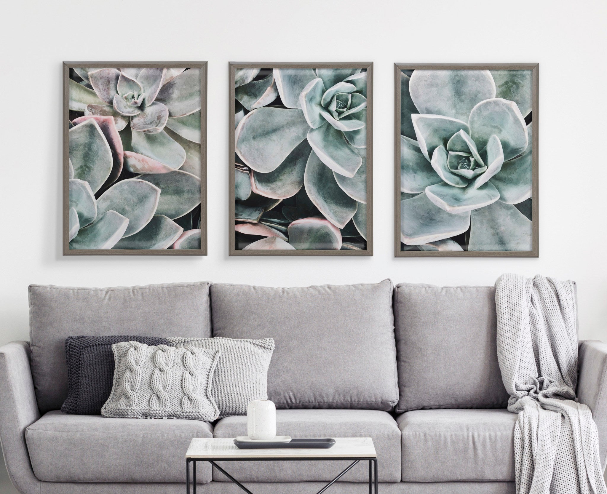 Blake Botanical Succulent Plants 1 Framed Printed Glass by The Creative Bunch Studio