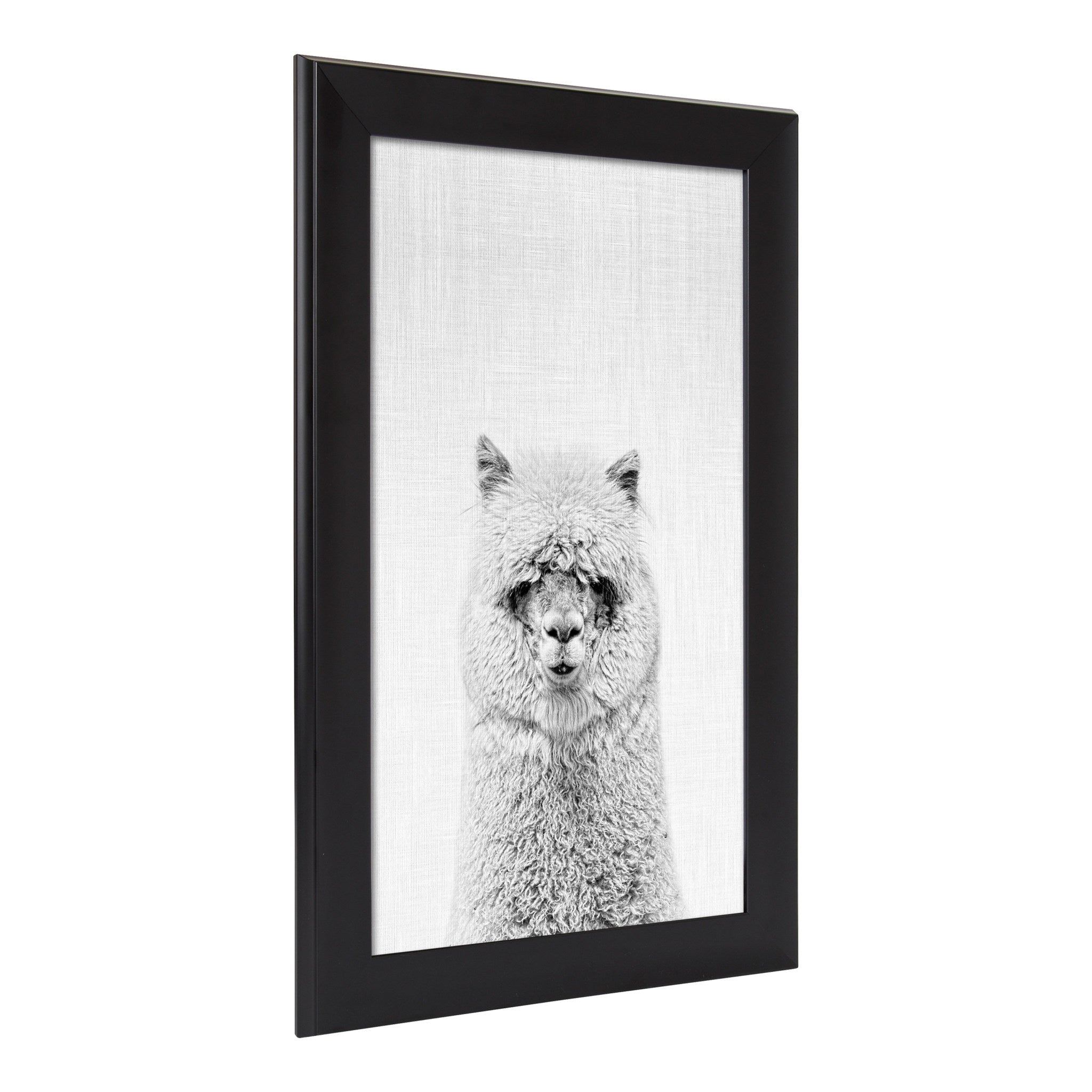 Scoop Hairy Alpaca Animal Framed Wall Art by Simon Te Tai, Black 18x28
