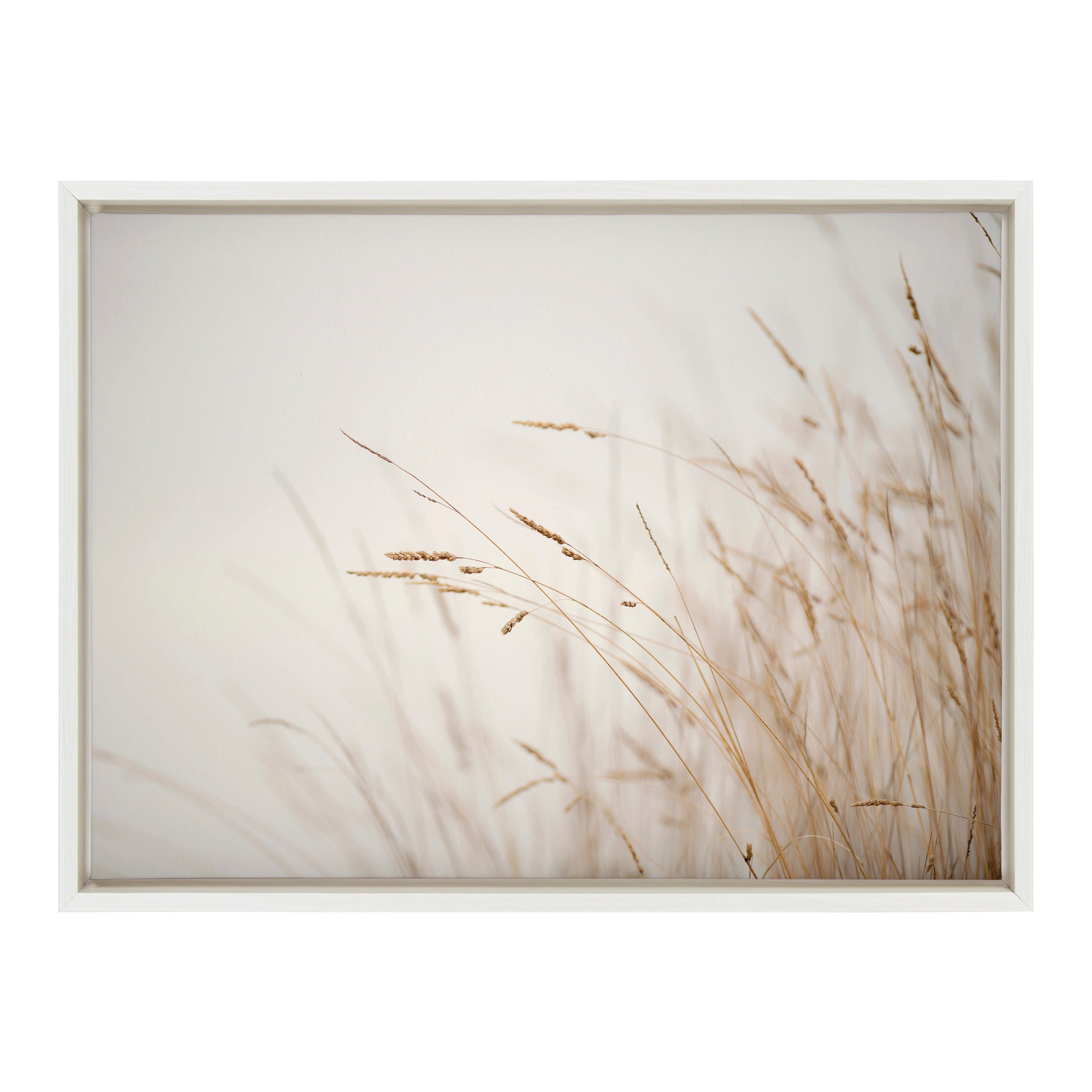 Sylvie Marsh Grass No 1 Framed Canvas by Crystal Lynn Collins