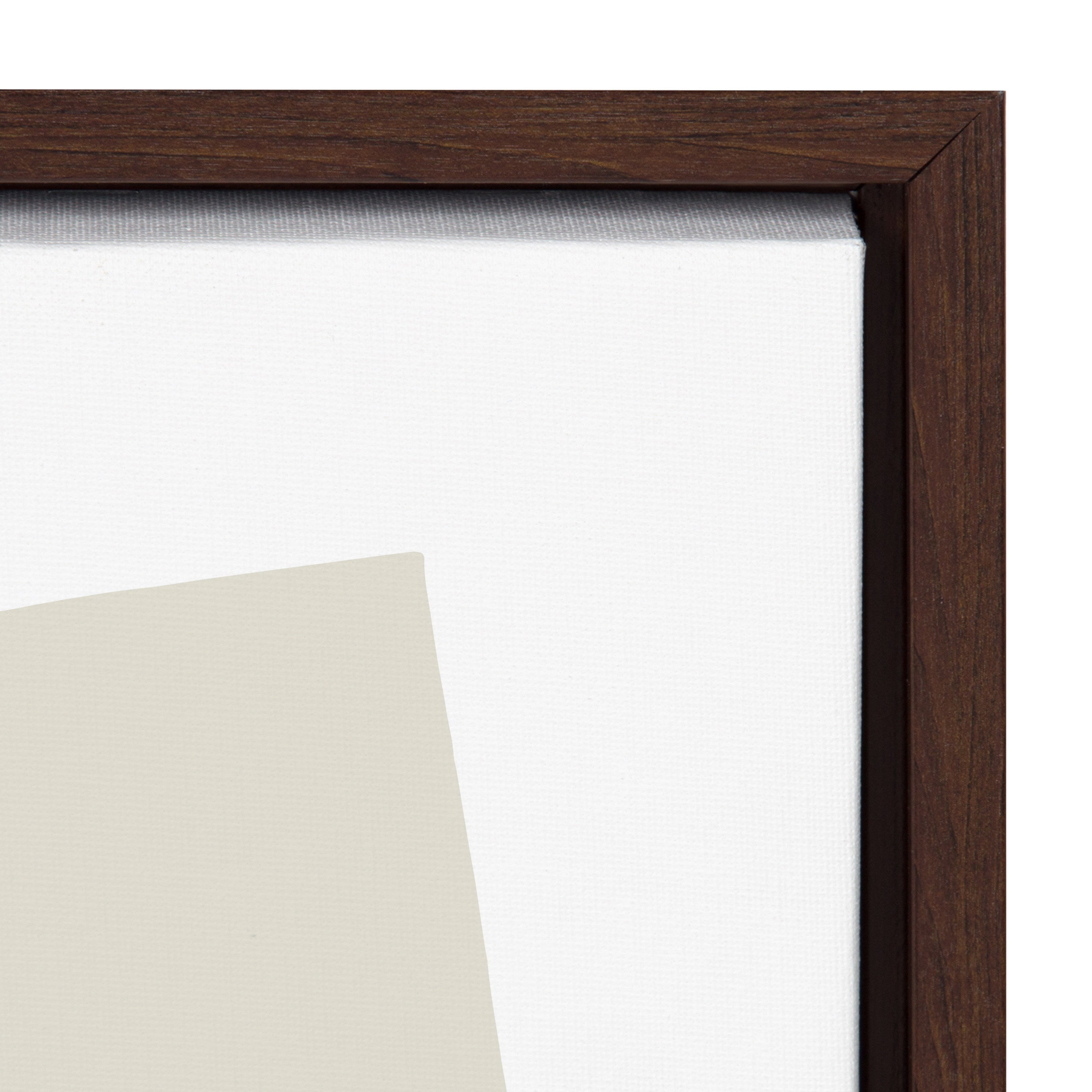 Sylvie Entangled Neutral Framed Canvas by Statement Goods