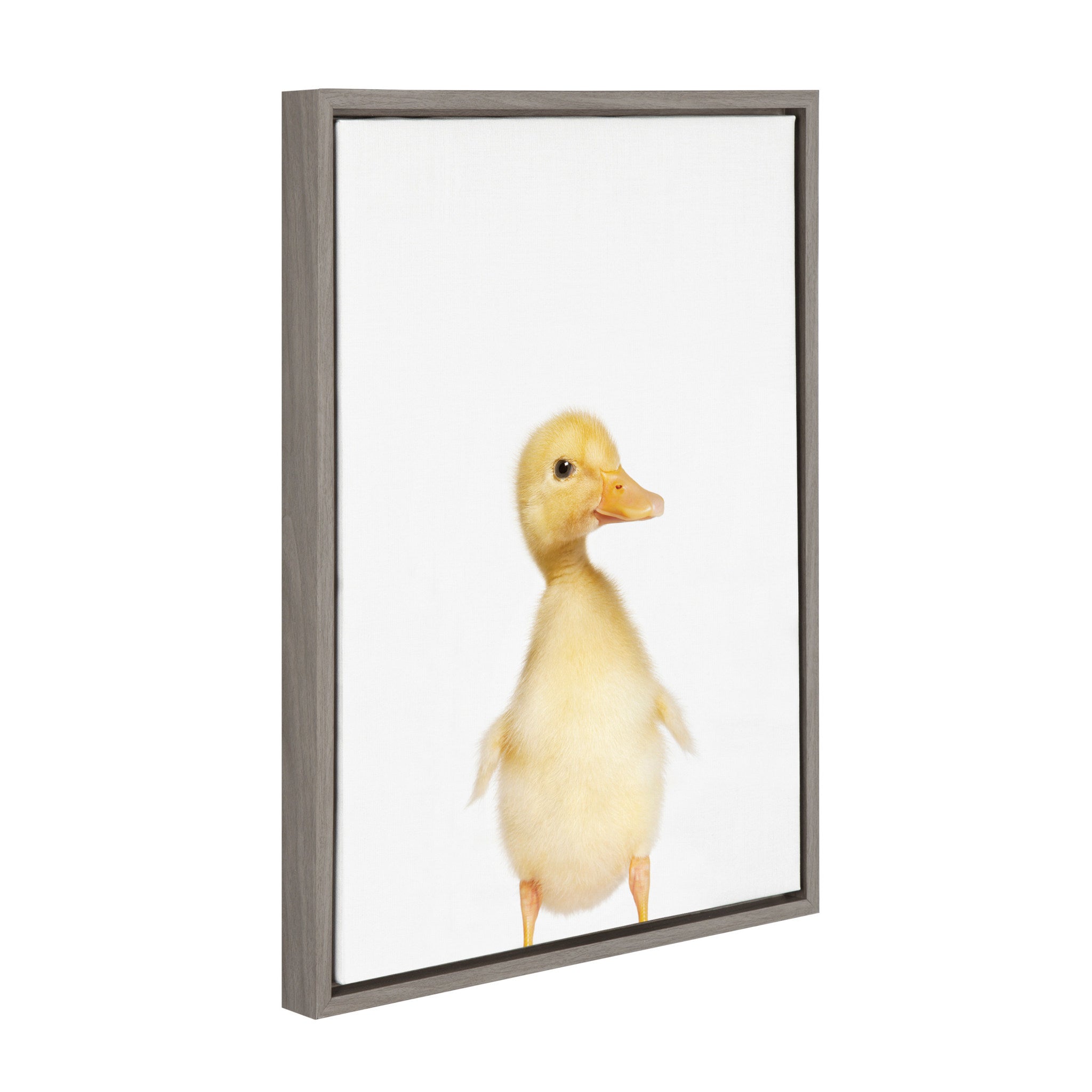 Sylvie Animal Studio Duck Framed Canvas by Amy Peterson Art Studio
