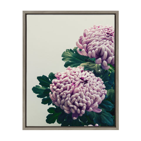 Sylvie Chrysanthemum Framed Canvas by F2 Images