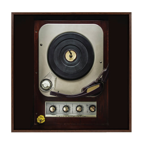 Sylvie High Fidelity Framed Canvas by Emiko and Mark Franzen of F2Images