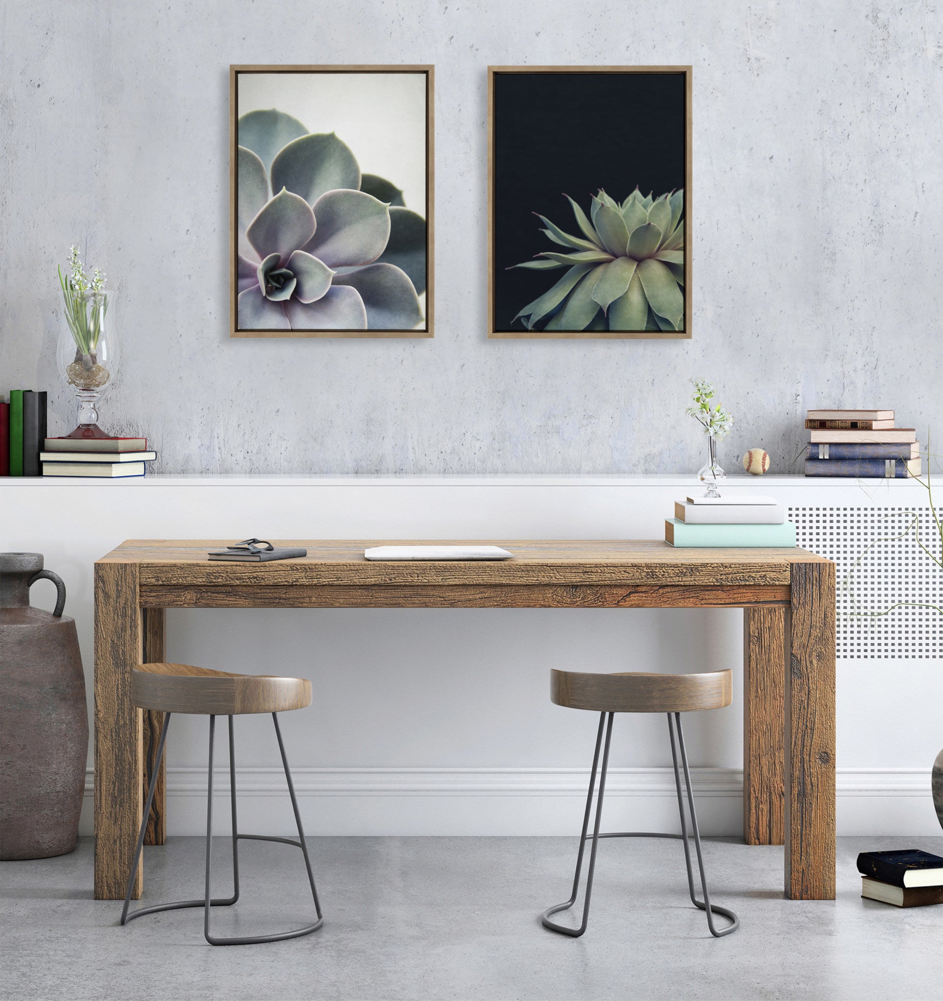 Sylvie Succulent 5 and Succulent 8 Framed Canvas by Emiko and Mark Franzen of F2Images
