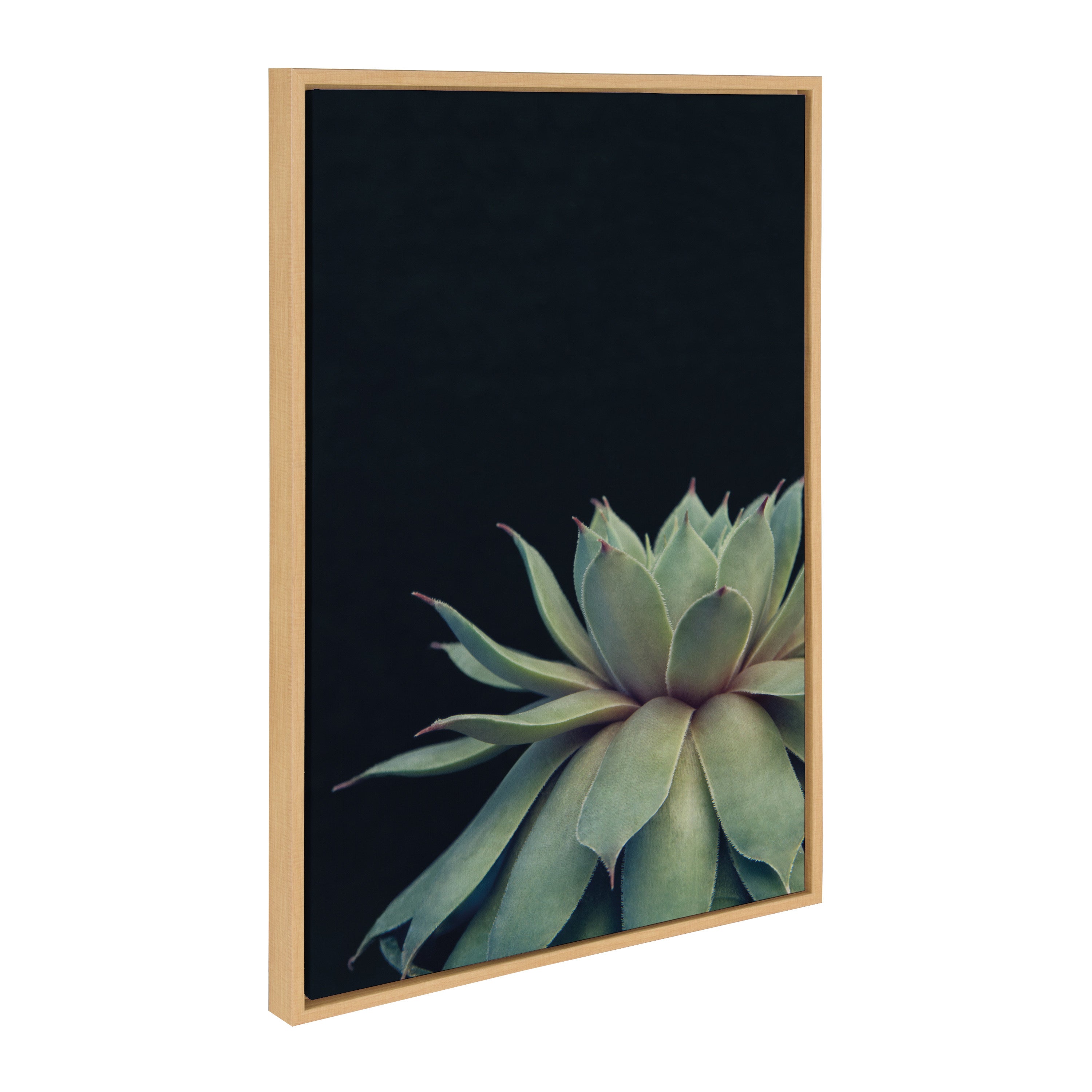 Sylvie Succulent Framed Canvas by F2 Images