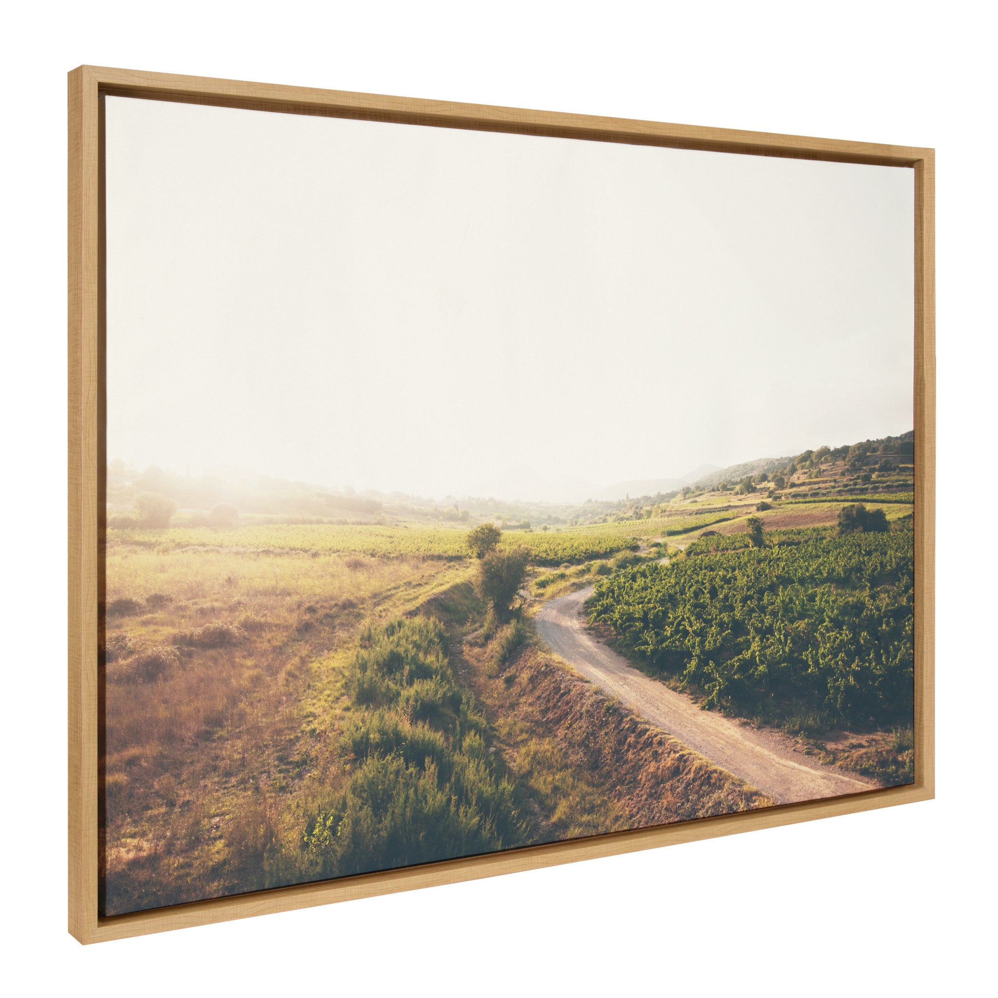 Sylvie Leading Towards the Unknown Framed Canvas by Laura Evans