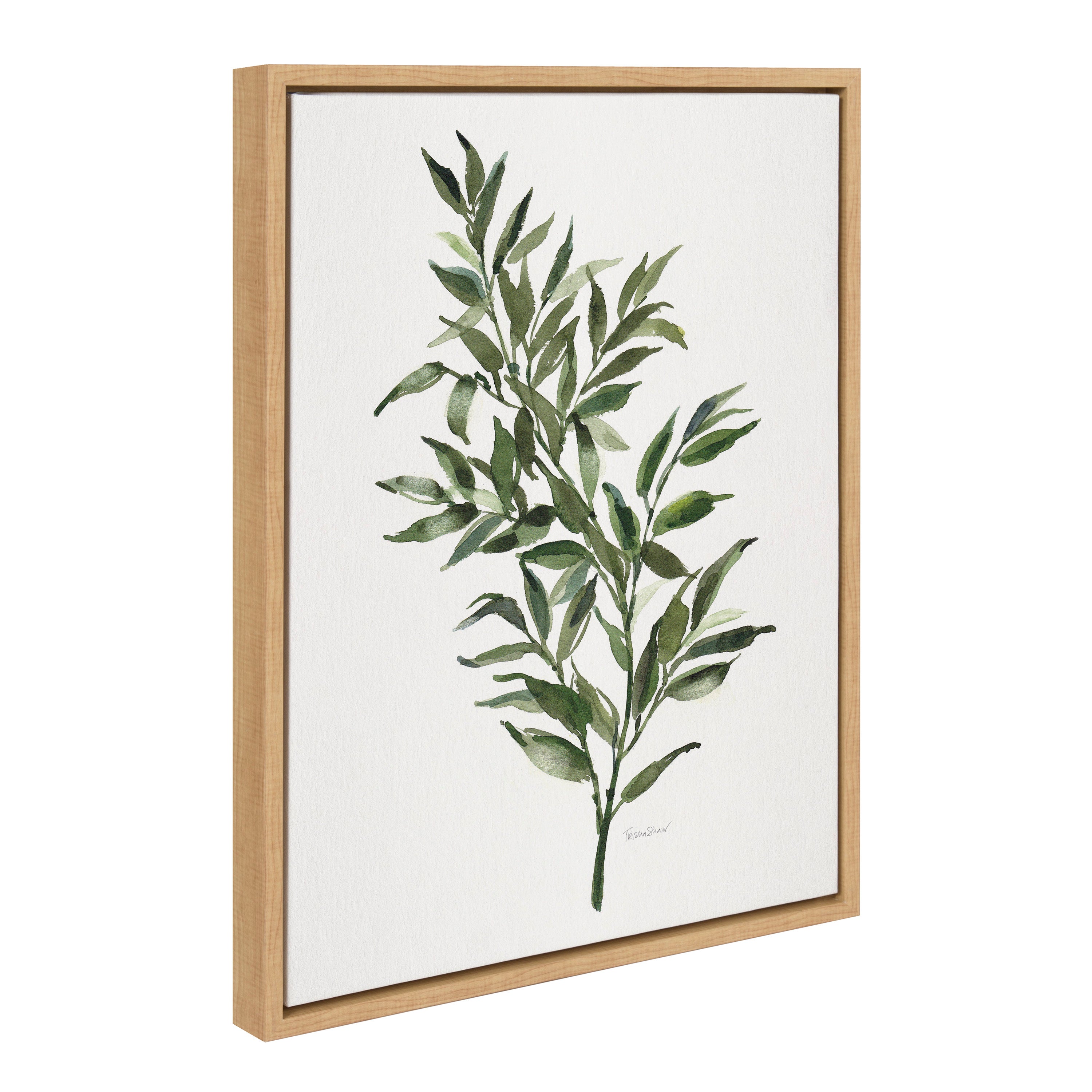 Sylvie Ruscus Framed Canvas by Patricia Shaw