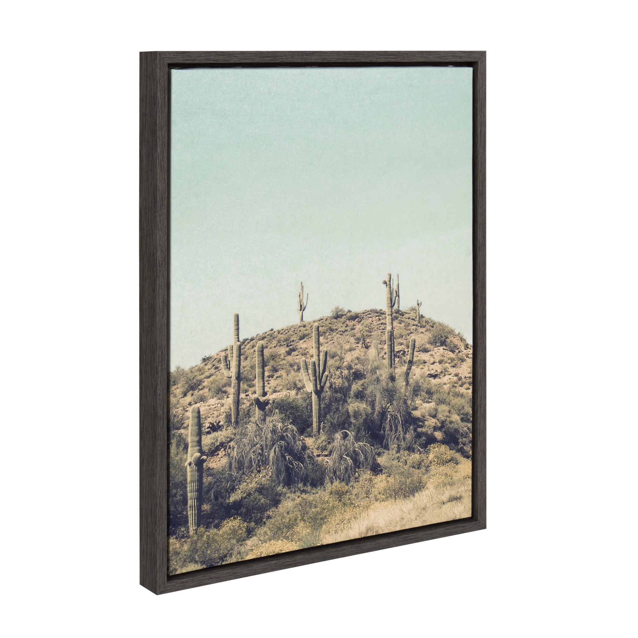 Sylvie Parched Framed Canvas by F2 Images