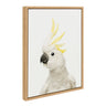 Sylvie Animal Studio Bird Framed Canvas by Amy Peterson Art Studio