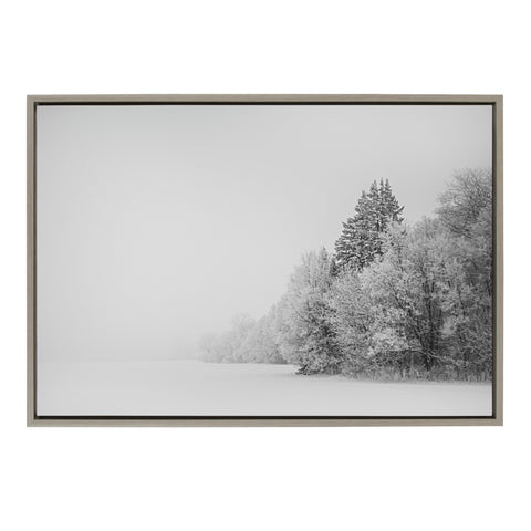 Sylvie Black and White Snow Day Framed Canvas by Emiko and Mark Franzen of F2Images