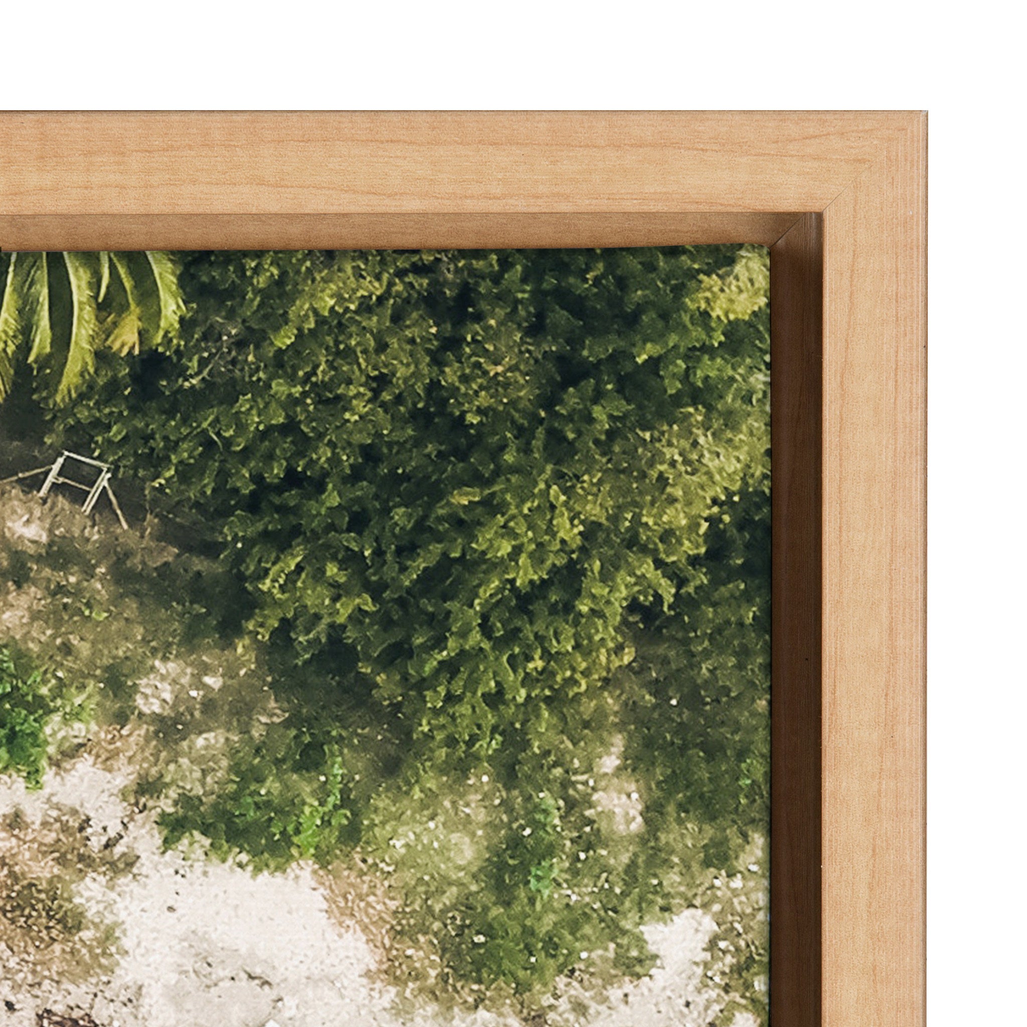 Sylvie Tropical Beach From Above Framed Canvas by Amy Peterson