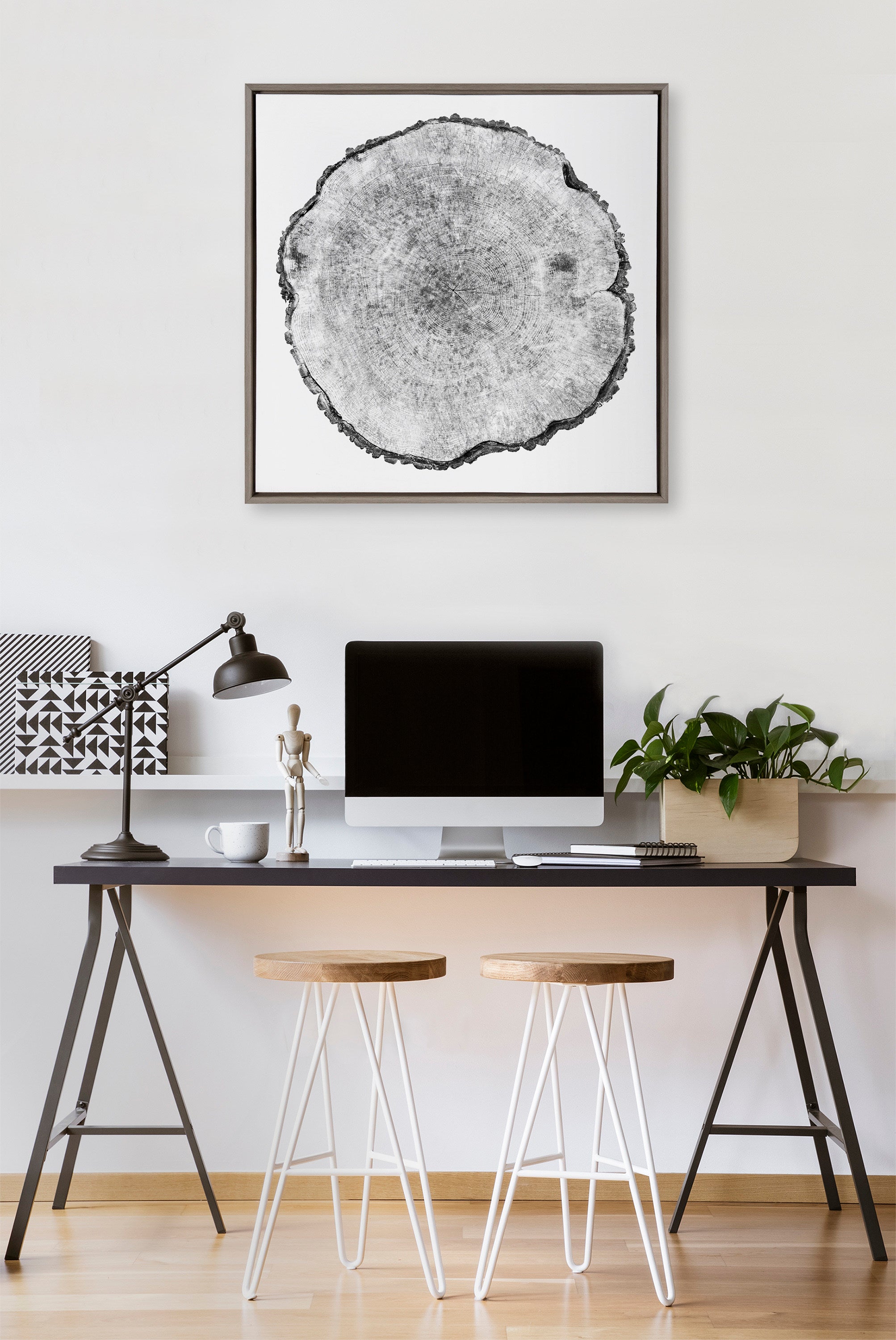 Sylvie Tree Rings Framed Canvas by Emiko and Mark Franzen of F2Images