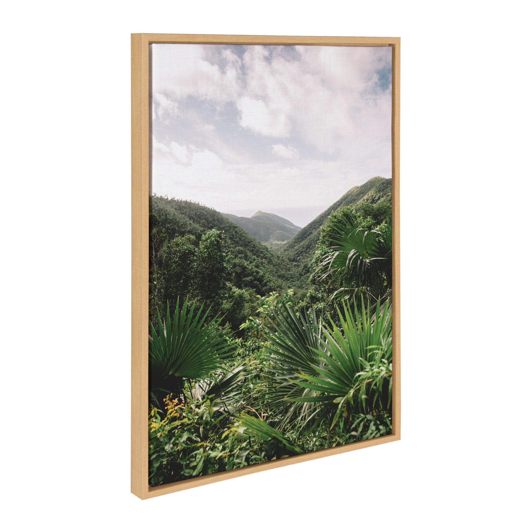 Sylvie Hills of St. John Framed Canvas by Patricia Hasz of Patricia Rae Photography