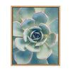 Sylvie Succulent 7 Framed Canvas by F2 Images