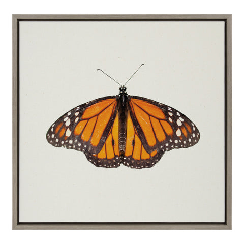 Sylvie Monarch Butterfly Framed Canvas by Robert Cadloff of Bomobob