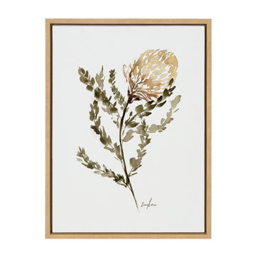 Sylvie Wild Banksia Framed Canvas by Sara Berrenson