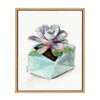 Sylvie Succulent 3 Framed Canvas by Jennifer Redstreake Geary
