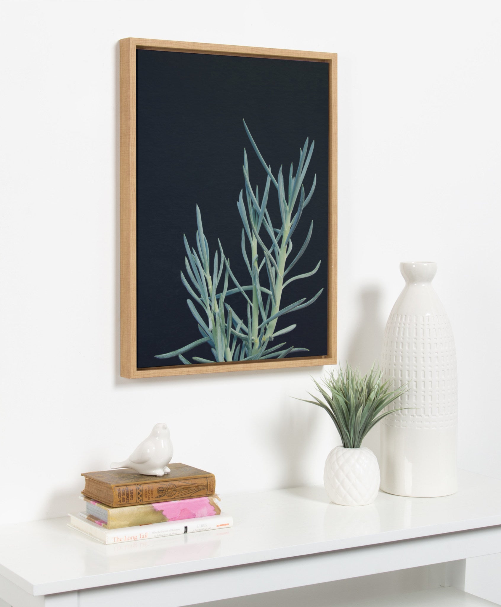 Sylvie Succulent 16 Framed Canvas by F2 Images