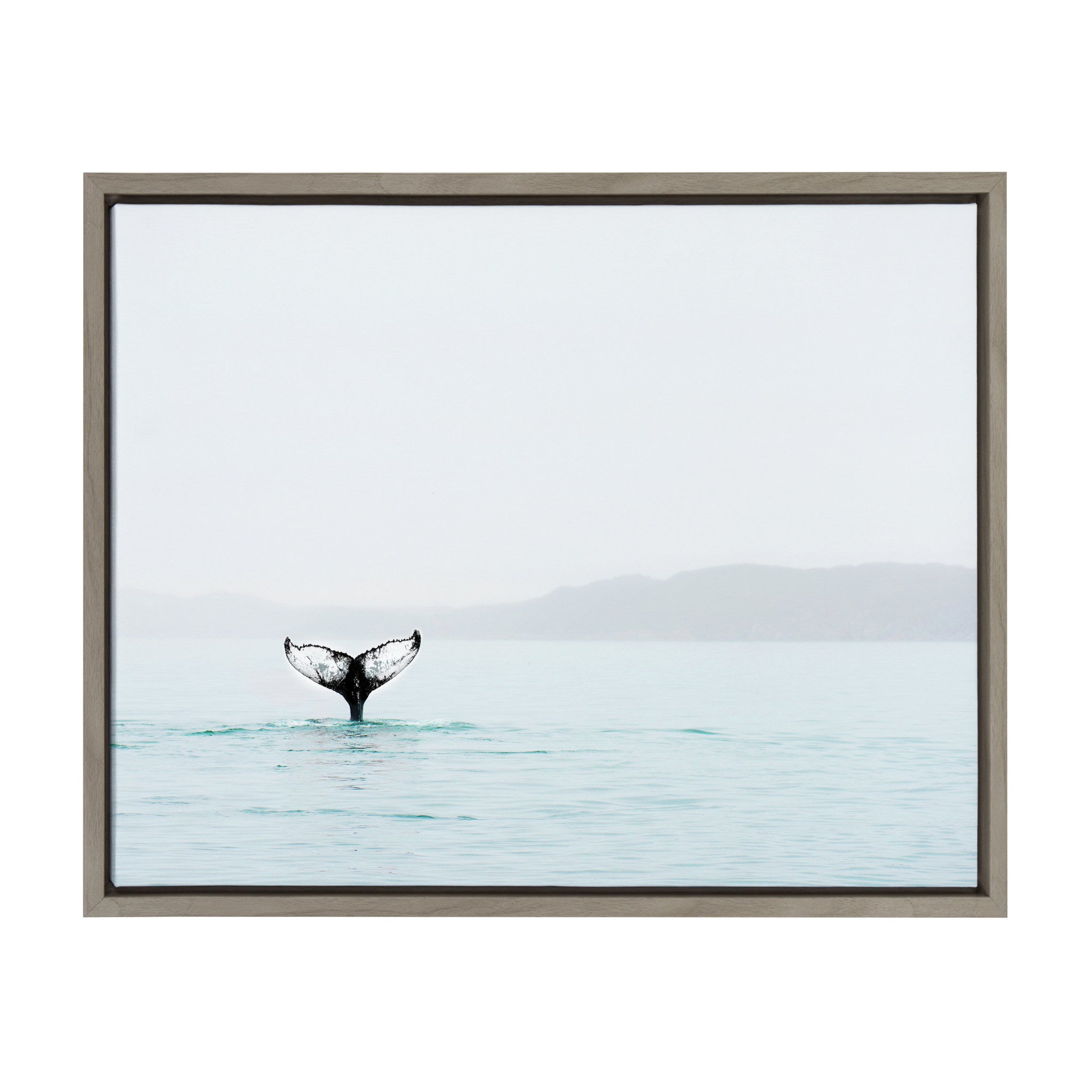 Sylvie Whale Tail In The Mist Framed Canvas by Amy Peterson