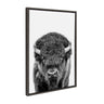 Sylvie Bison Portrait Black and White Framed Canvas by Amy Peterson Art Studio