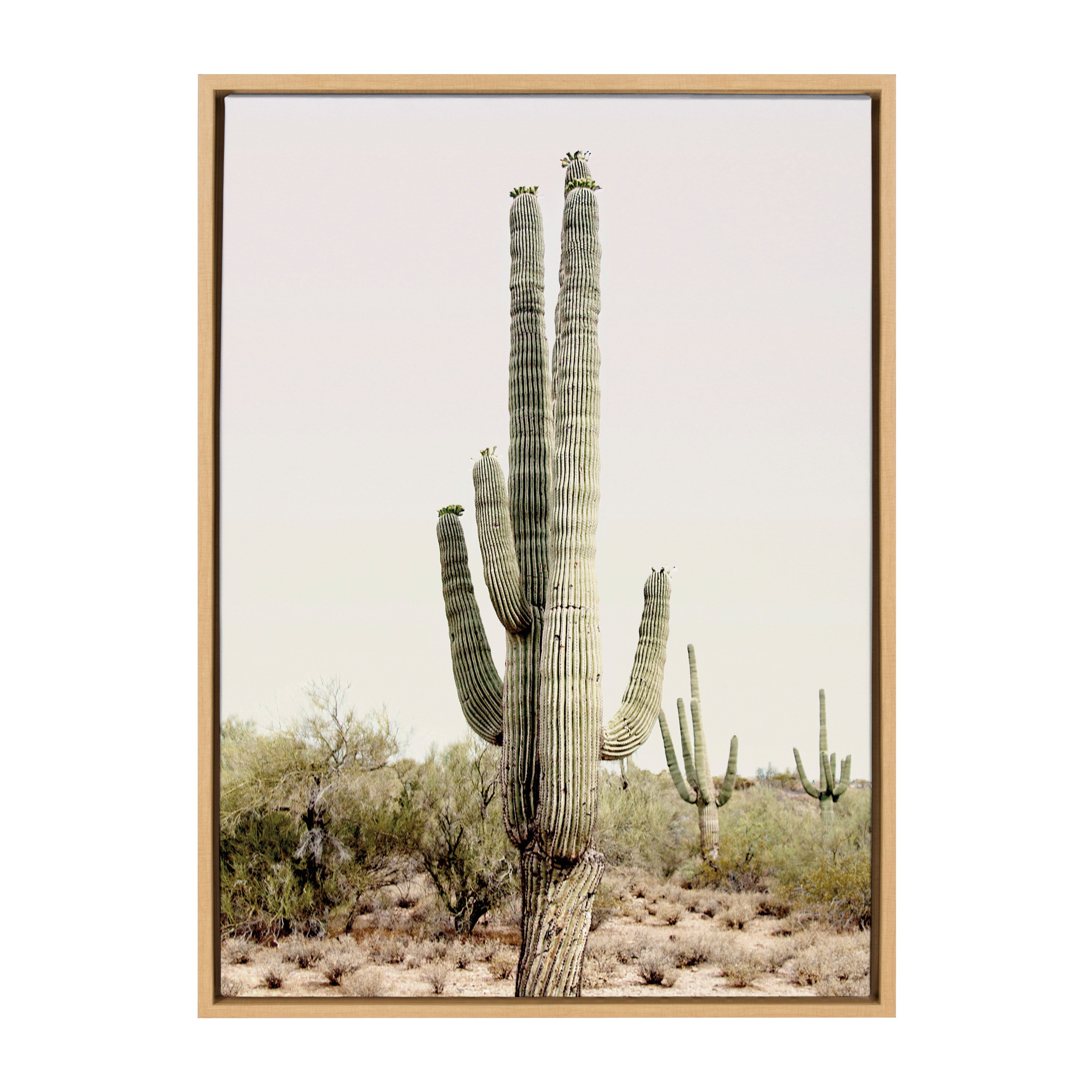 Sylvie Sunrise Cactus Framed Canvas by Amy Peterson Art Studio