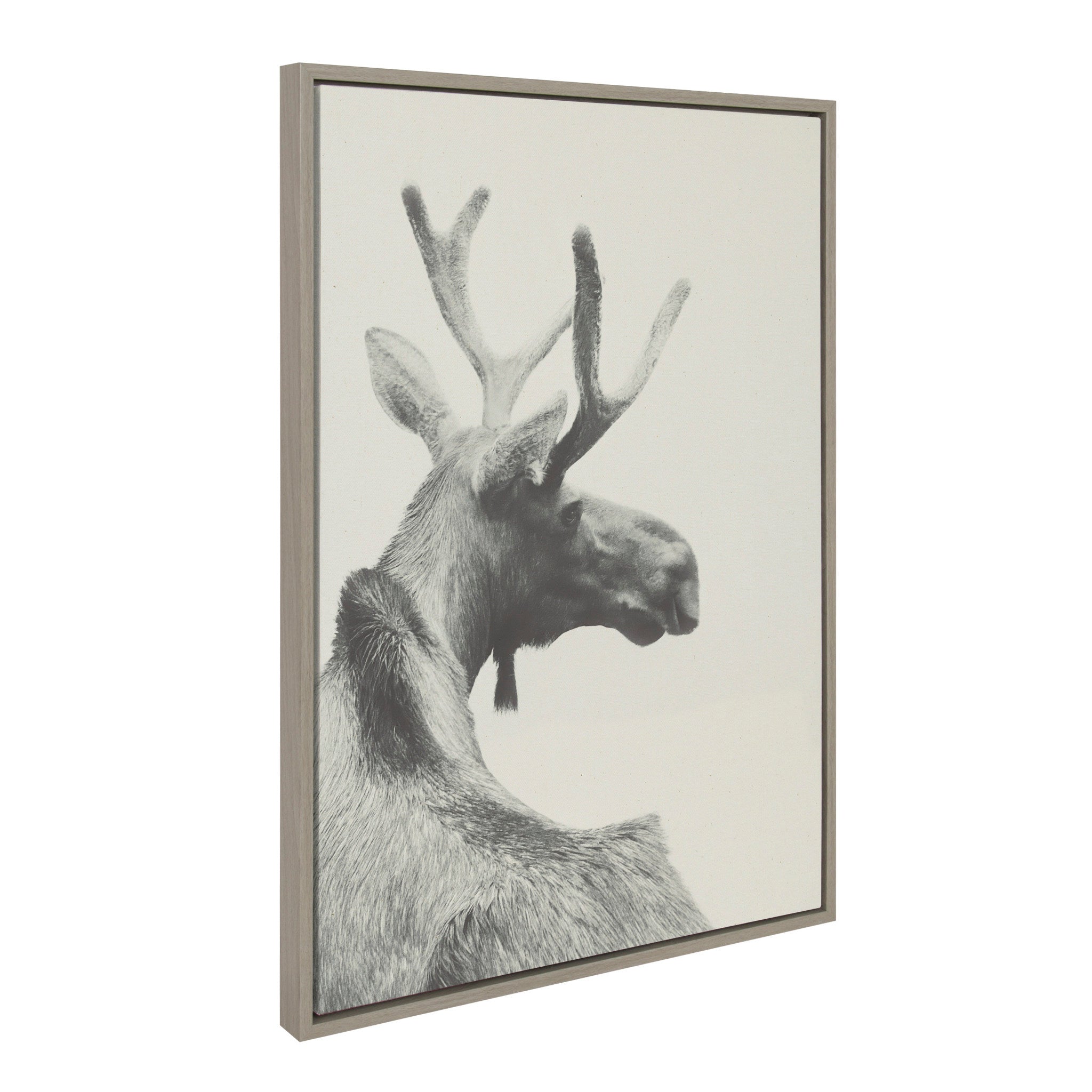 Sylvie Moose BW Framed Canvas by Emiko and Mark Franzen of F2Images
